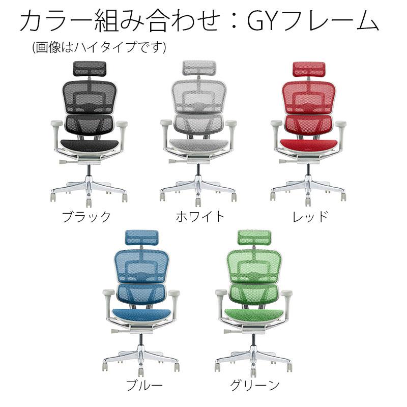 エルゴヒューマン（Ergohuman） 正規品 2025年新型モデル プロ2