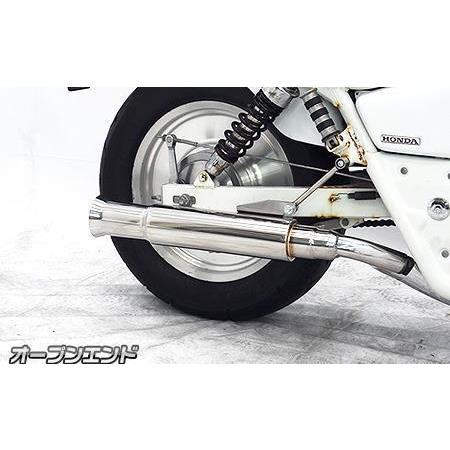 オープンエンドマフラー スリップオン ウイルズウィン（WirusWin