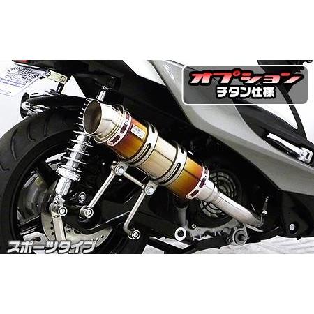 ロイヤルマフラー スポーツタイプ チタン仕様 ウイルズウィン