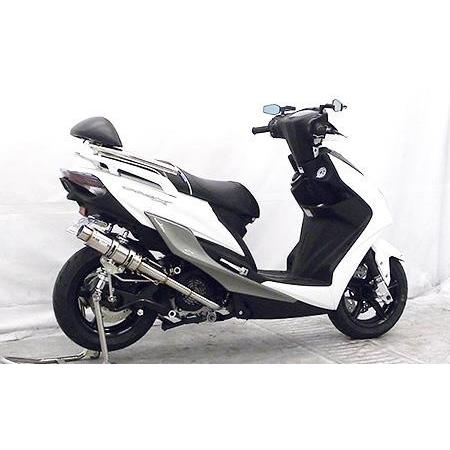 レーシングマフラーZ ウイルズウィン（WirusWin） シグナスX（CYGNUS-X