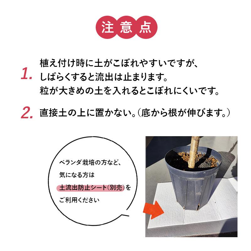 8号スリット鉢 直径24cm CSM-240 容量約6.1L 標準型 モスグリーン 紺