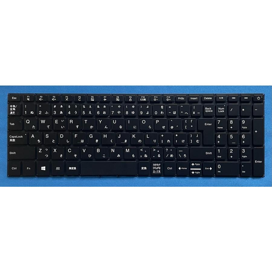 LaVie Note Standard 新品 NEC LAVIE PC-NS700KAR 等用 日本語