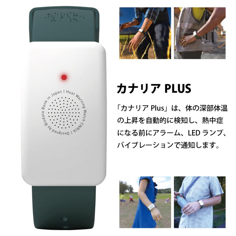 LIHIT LAB.（リヒトラブ） 『10個セット』 カナリアPlus カナリア