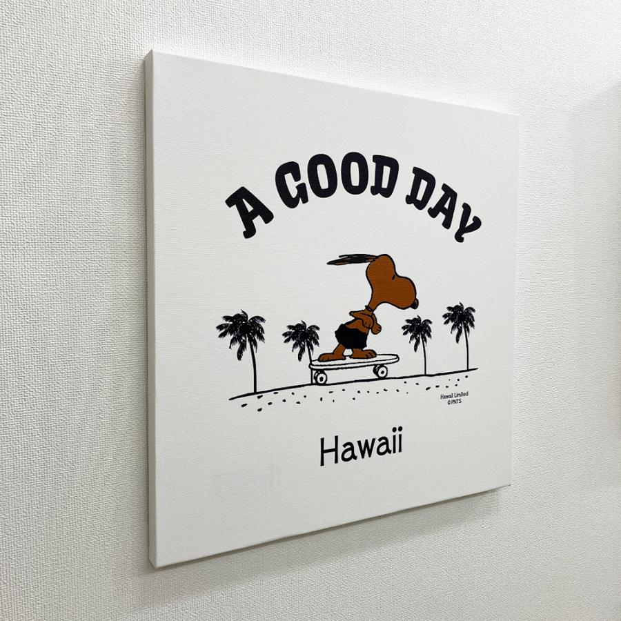 SNOOPY（スヌーピー） ハワイ限定 ハワイ直輸入 日焼けスヌーピー