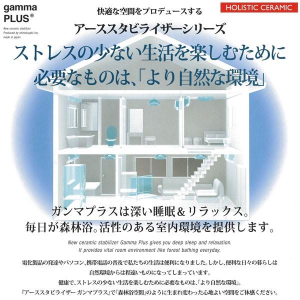 送料無料】アーススタビライザー ガンマプラス 【メーカー正規品】 森
