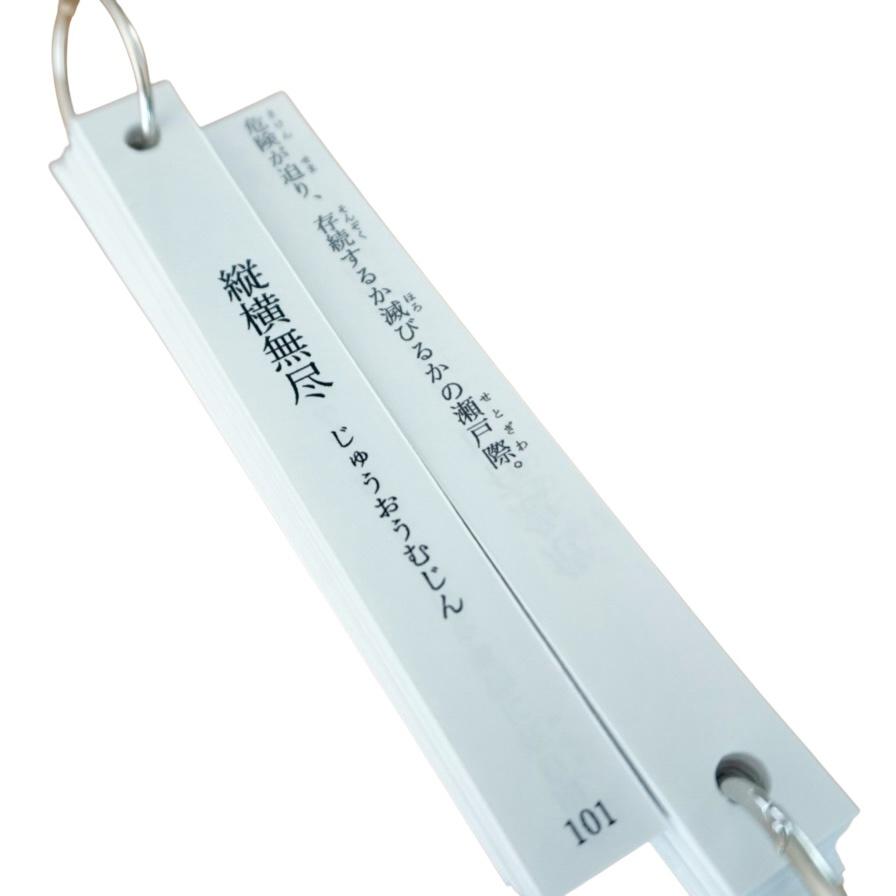 灘中受験対策 国語】中学受験対策 オリジナル暗記カードセット （四字