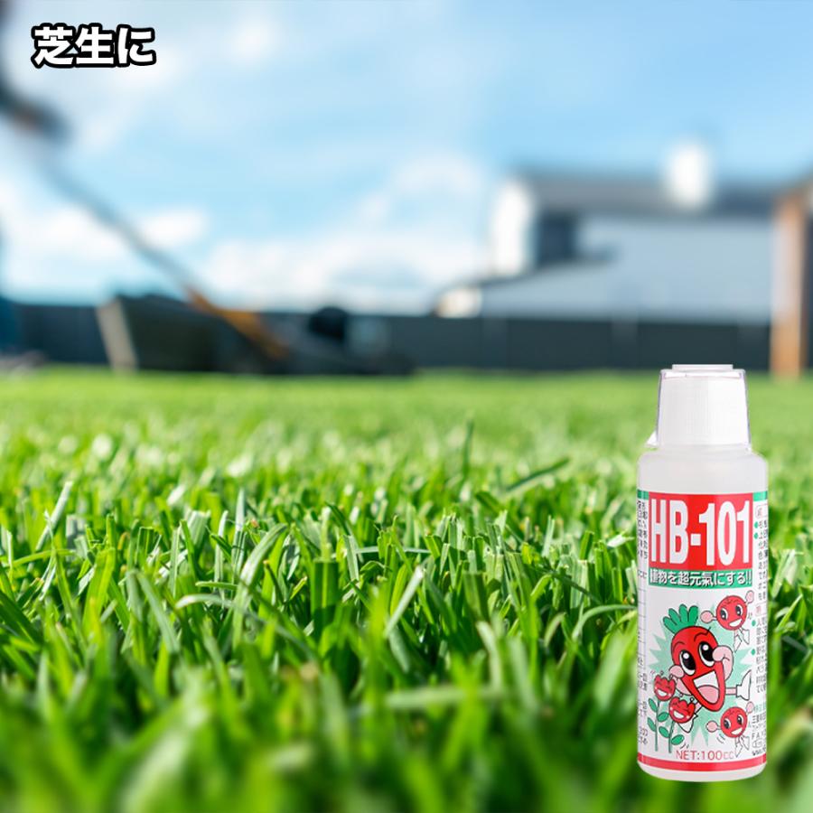 フローラ 【メーカー公式】フローラ(Flora) 天然植物活力液 HB-101 1L