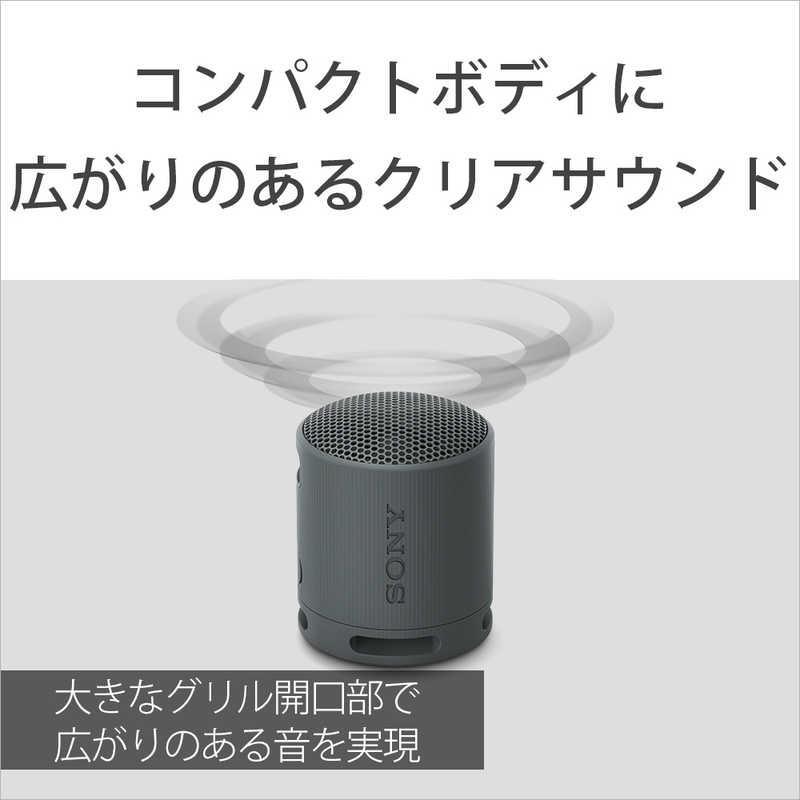 当店1年保証】SONY ワイヤレスポータブルスピーカー SRS-XB100