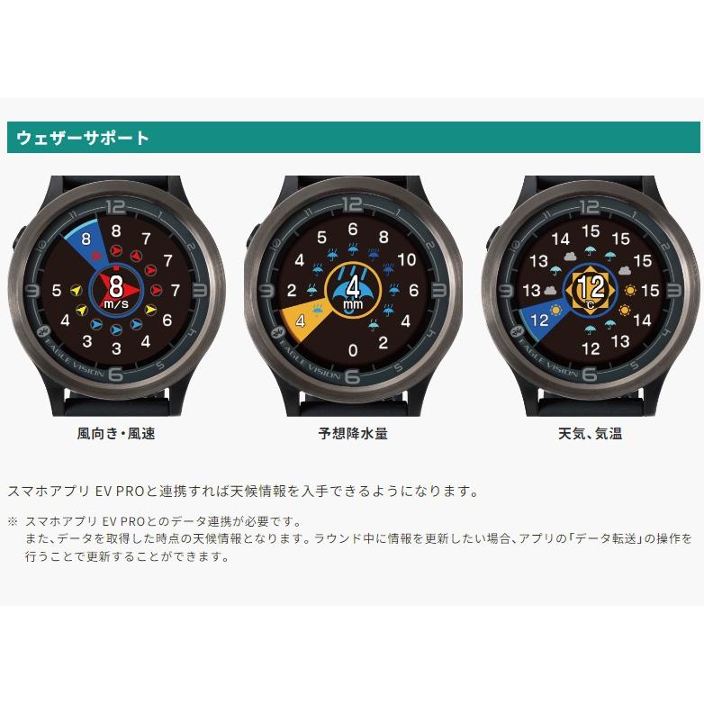 EAGLE VISION イーグルビジョン ACE-PRO- エース プロ GPSゴルフナビ