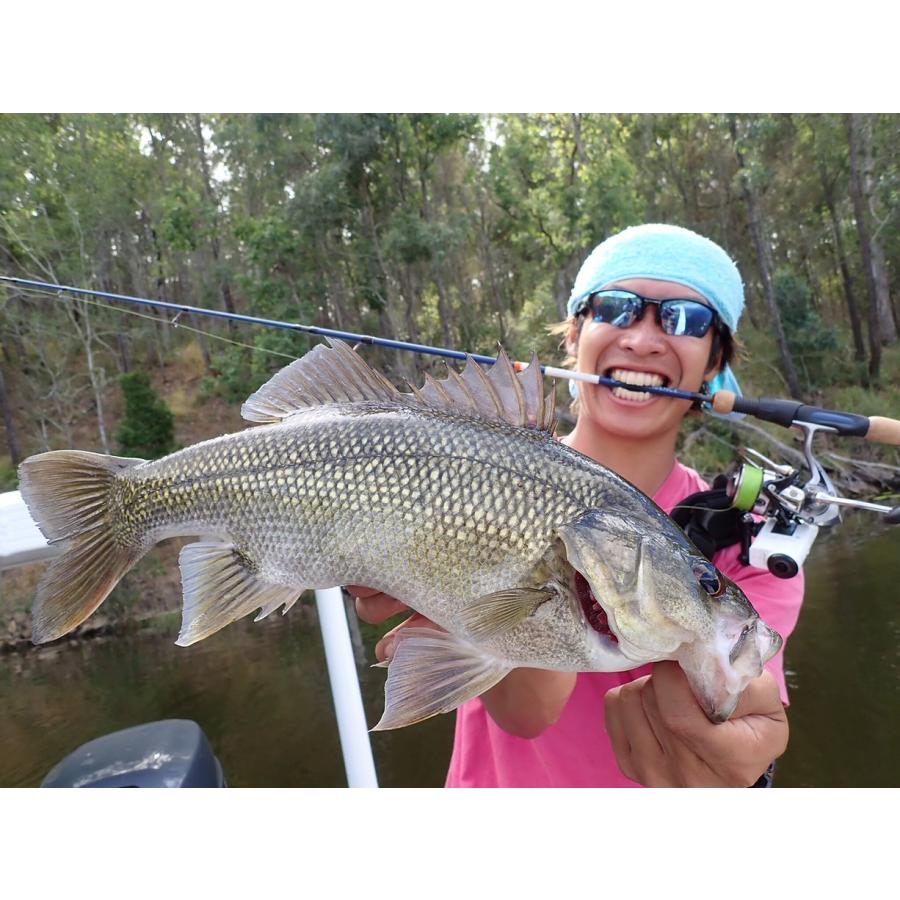 TRANSCENDENCE/トランスセンデンス】60S+ Rev.2 / ボティア : HEDGEHOG