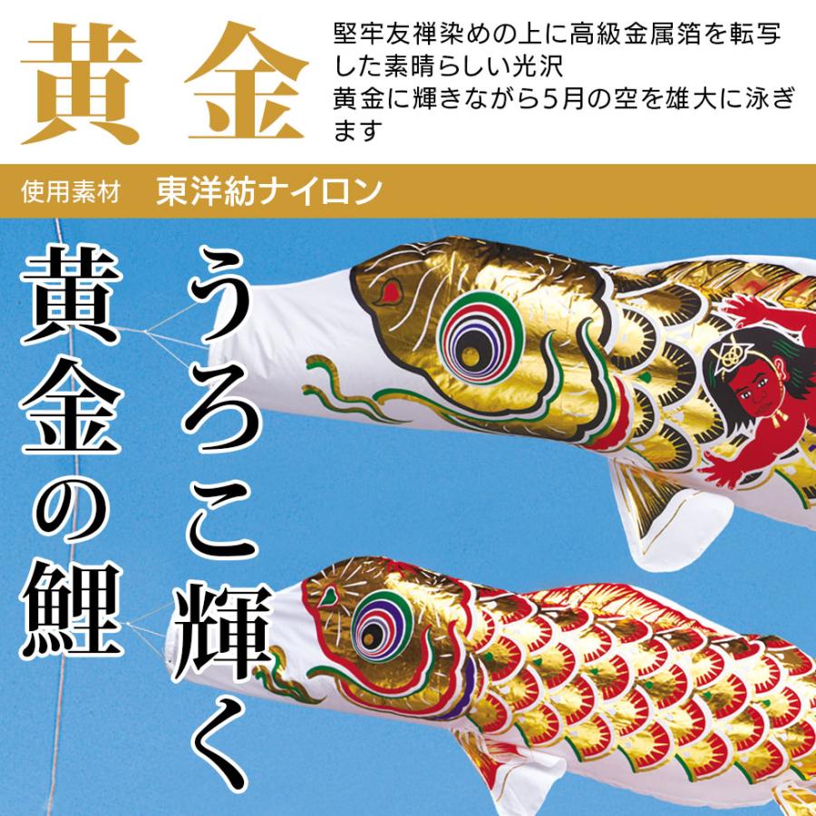 フジサワ黄金鯉6m （吹き流し、鯉のみ） 鯉のぼり フジサワ 黄金鯉