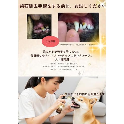 ReDenta(リデンタ) 犬猫用・歯石ケアスプレー 50ml : ヘルクレス