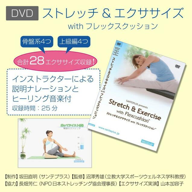 サンテプラス フレックスクッション（本体のみ） : ルネサンスYahoo!店