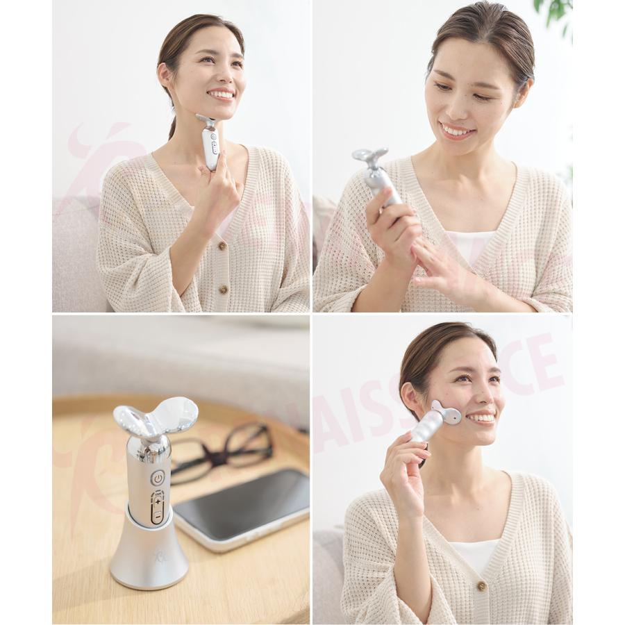 Re 【メーカー直販】P10倍! スタイリーフェイス 低周波EMS フェイス