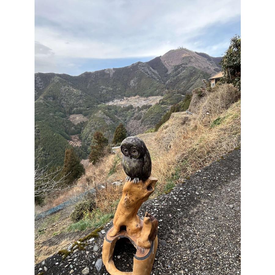 名人が作った 木彫りのフクロウ C(1羽) 木彫り ふくろう 梟 フクロウ