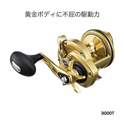 シマノ（SHIMANO） リール 15 海魂 カイコン 3000T 4969363033574 石鯛