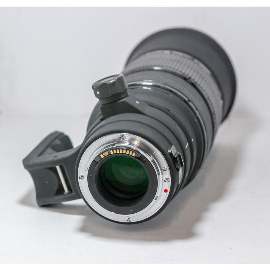 シグマ（SIGMA） APO 120-300mm F2.8 EX DG HSM for Canon キヤノン用
