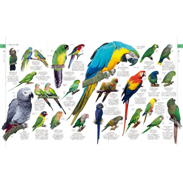 地球博物学大図鑑 新訂版 : 枚方 蔦屋書店 Yahoo!店 - 通販 - Yahoo