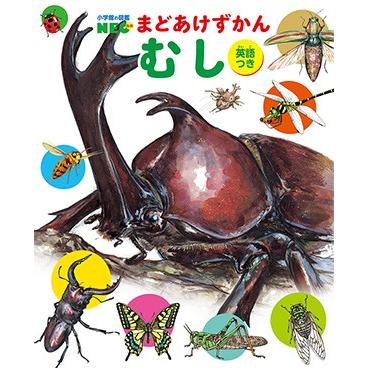 小学館の図鑑NEO) まどあけずかん むし: 英語つき : 枚方 蔦屋書店