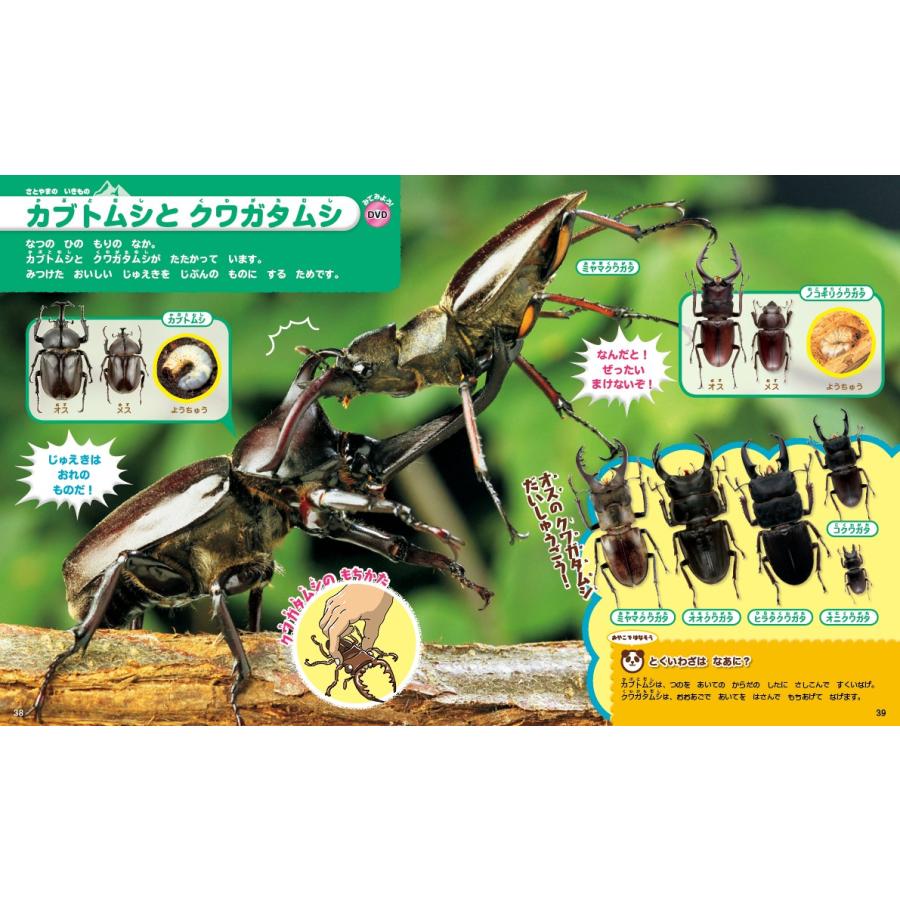 講談社の動く図鑑MOVE) DVD付 はじめてのずかん みぢかないきもの