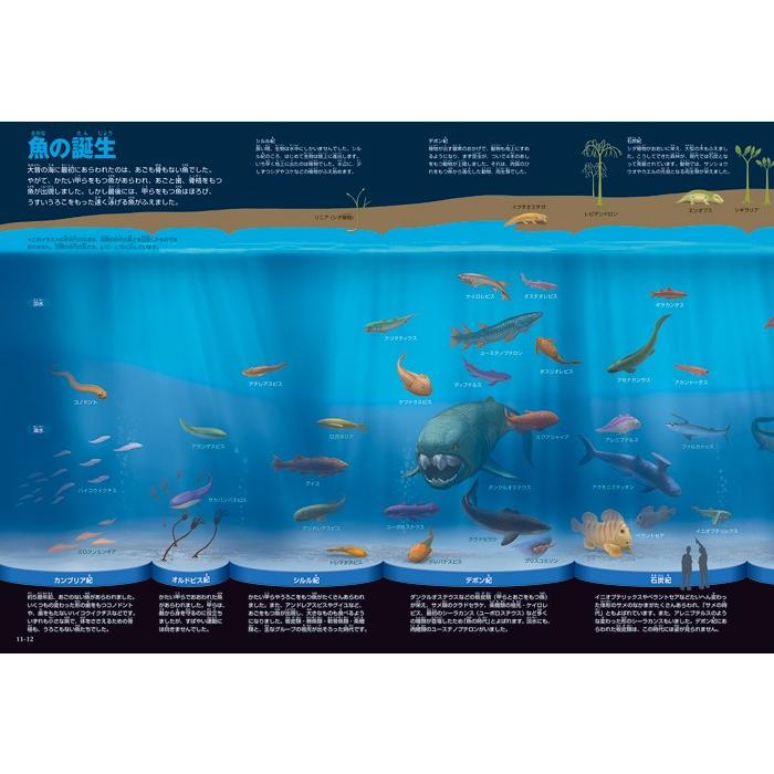 小学館の図鑑NEO) ［新版］魚 DVDつき : 枚方 蔦屋書店 Yahoo!店