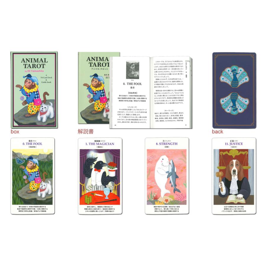 新装版※ANIMAL TAROT(アニマル タロット）日本語専用解説書付 日本語