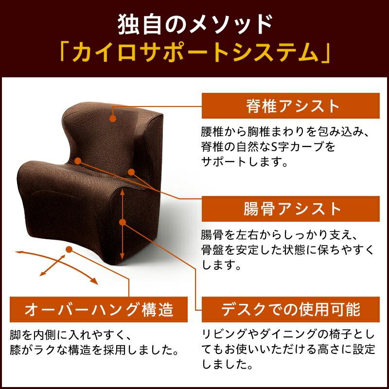 Style（スタイル） 爆買 Style Dr.CHAIR Plus ドクターチェア プラス
