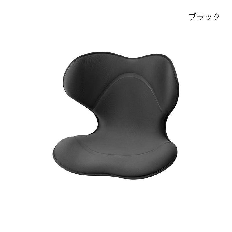 Style（スタイル） 爆買 姿勢ケアシート スマート MTG Style Smart