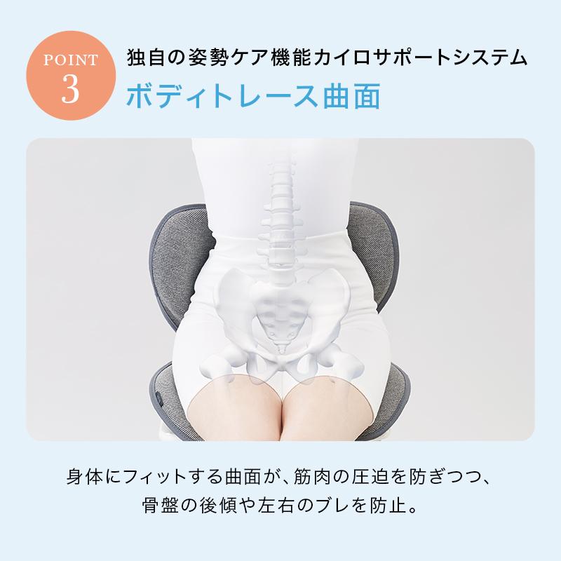 Style（スタイル） 爆買 姿勢ケアシート Style Standard スタンダード