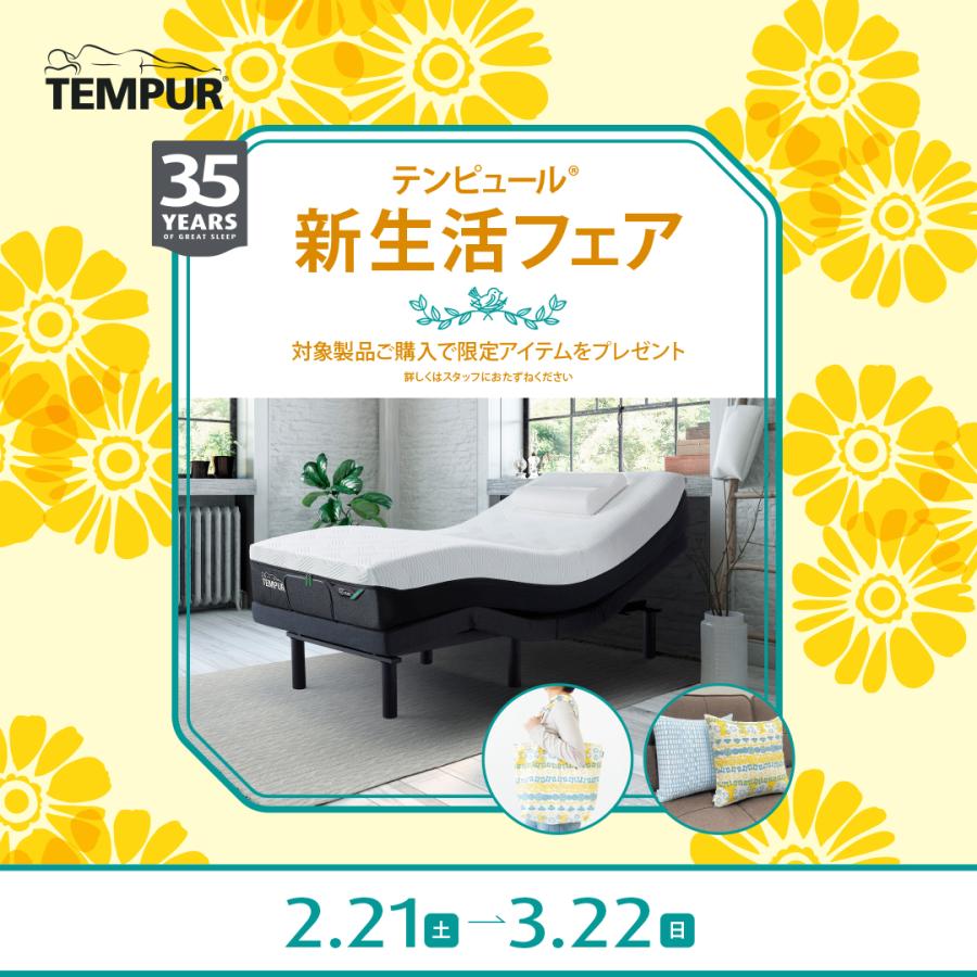 テンピュール（TEMPUR） 爆買 限定アイテムプレゼント！正規販売店