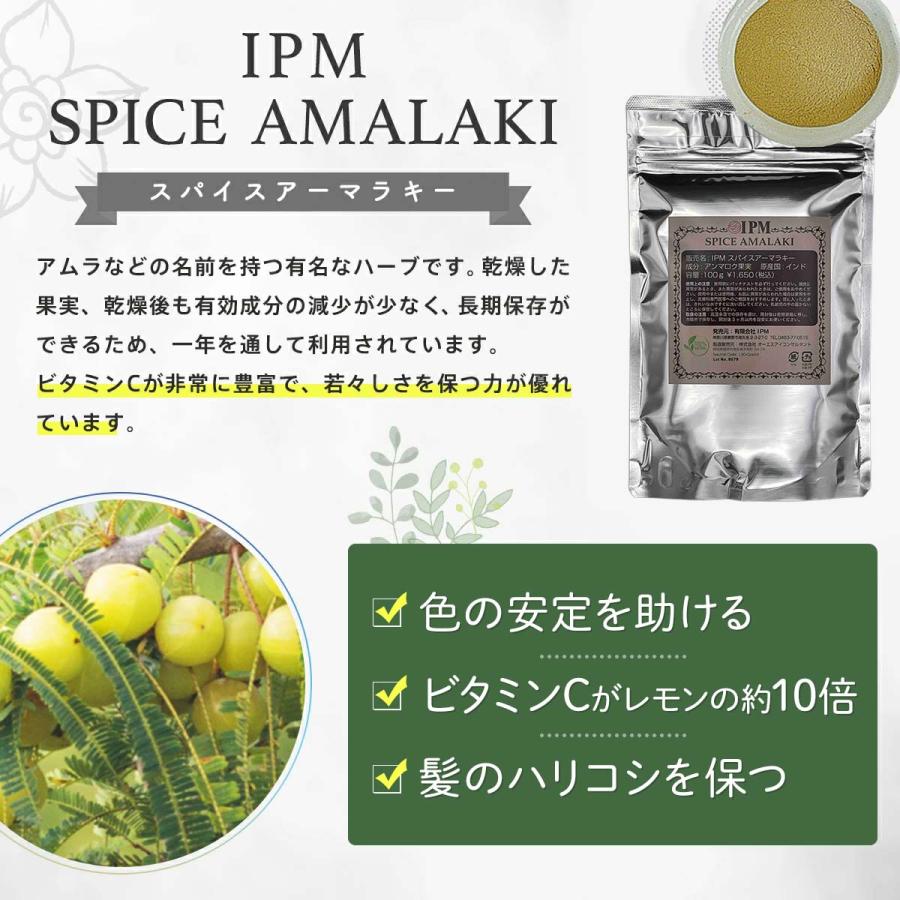 IPM ヘナ インディゴ 100g【エコ洗剤2個つき】 オーガニック 白髪染め
