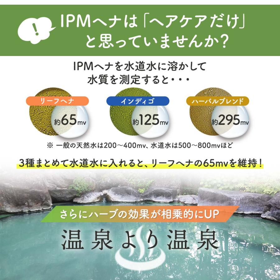 IPM ヘナ スパイスアーマラキー 100g×5袋セット【選べるプレゼント付き