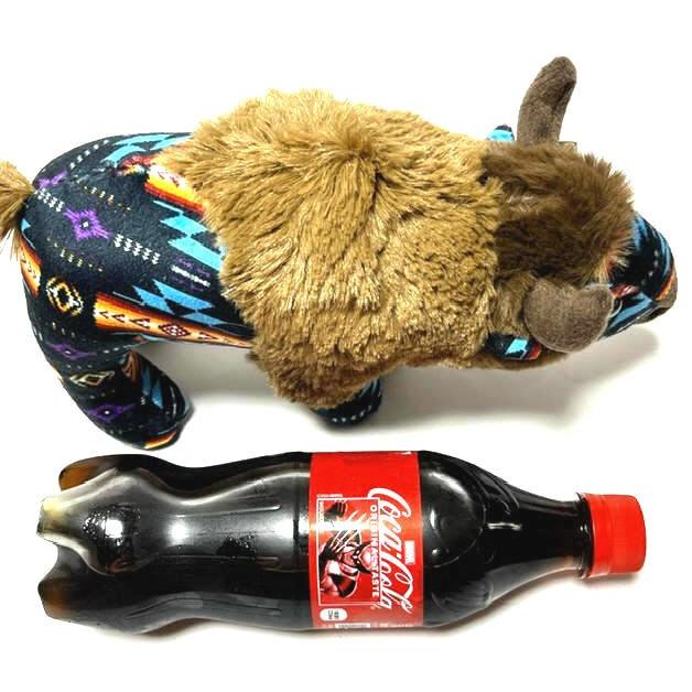 アメリカより入荷 【NU TRENDZ】 サウスウェスト柄 ネイティブ柄