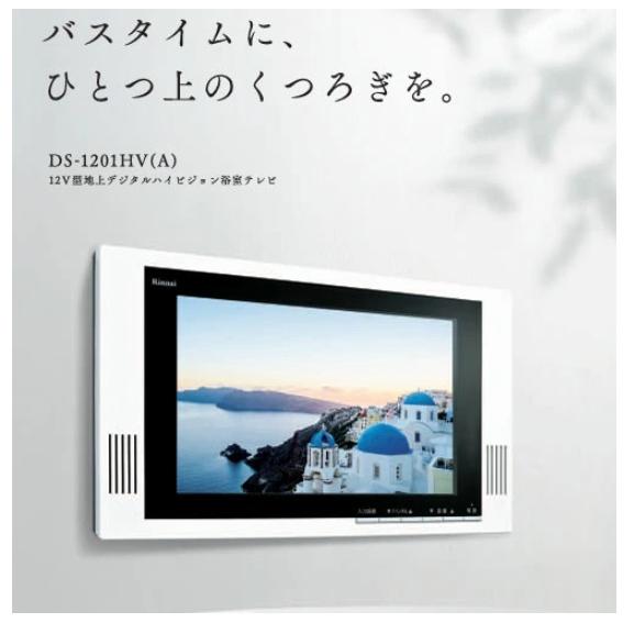 リンナイ（Rinnai） 在庫有【DS-1201HV（A)】リンナイ RINNAI 12V 地上