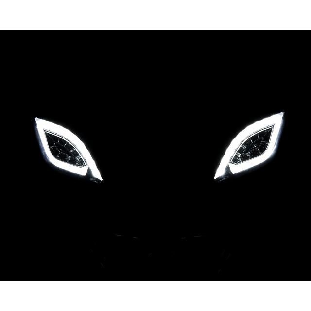 デイライト ホワイト LED フラッシャーセット ライトスモークレンズ