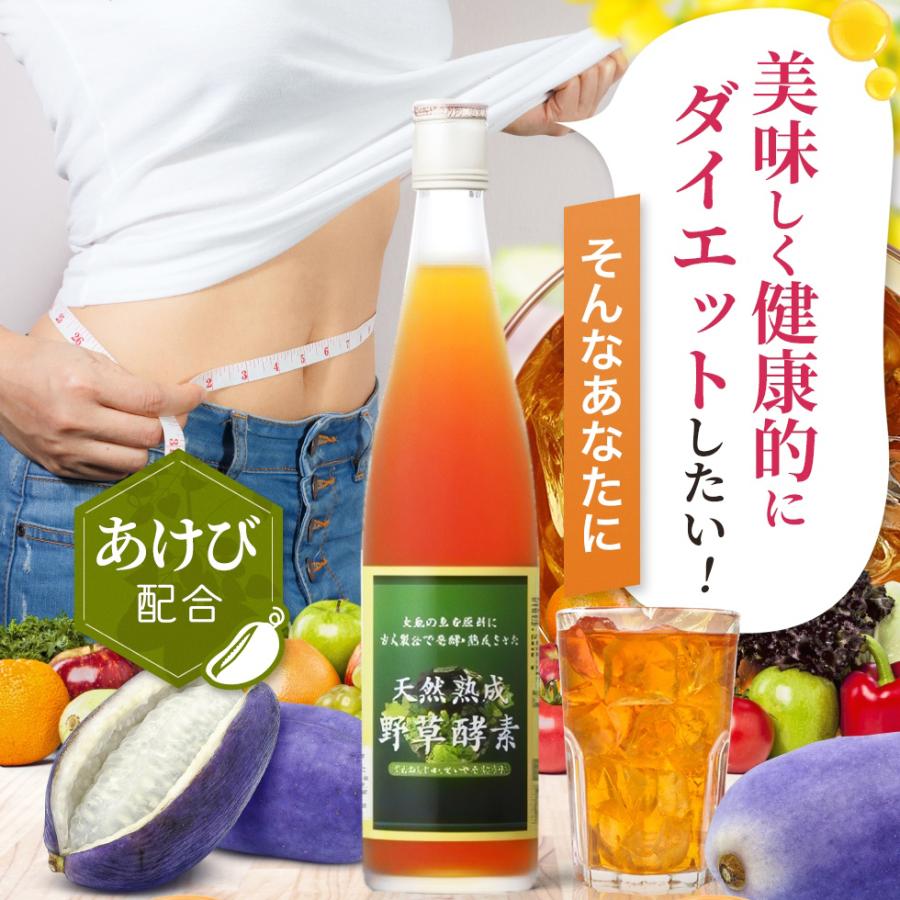 爆買 酵素ドリンク 無添加 高級 原液100% 天然熟成 野草酵素 500ml 6本
