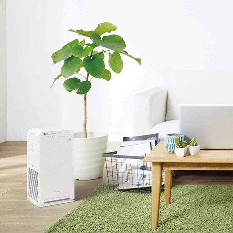 ダイキン（DAIKIN） 空気清浄機 コンパクト 静音 ストリーマ空気清浄機