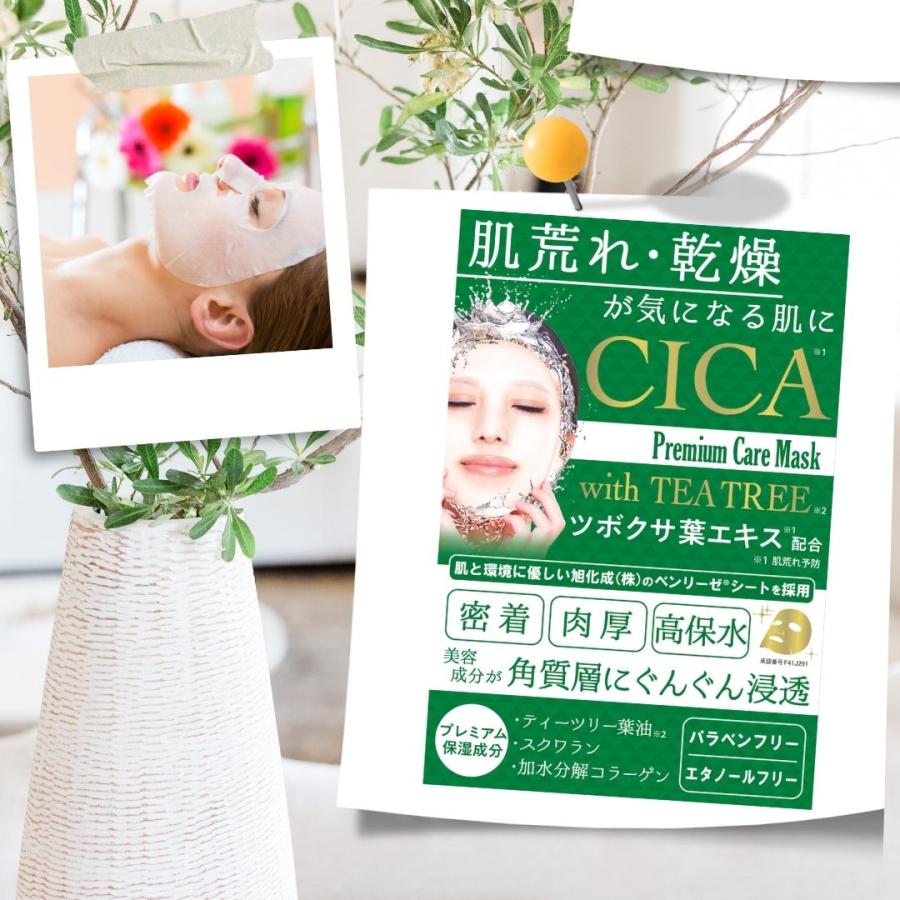S-LABO CICA プレミアムケアマスク シートマスク5枚（箱入り）cica