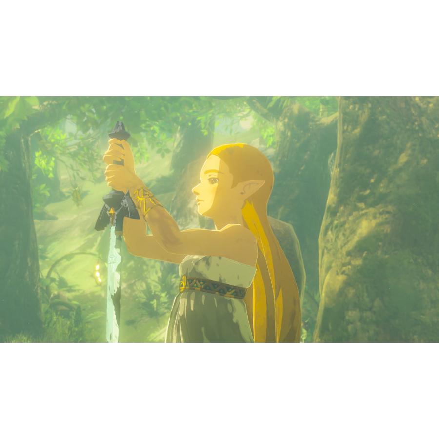 任天堂（Nintendo） (Switch2)ゼルダの伝説 ブレス オブ ザ ワイルド