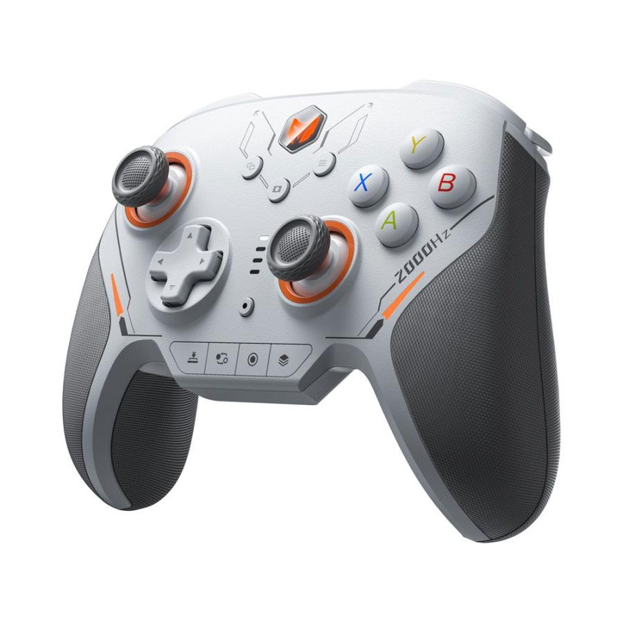 BIGBIG WON BLITZ2 TMR プロゲーミングコントローラー ポーリング