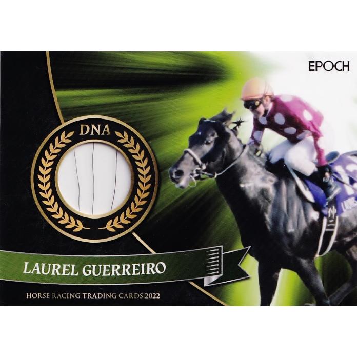 EPOCH 2019 ホースレーシング トゥザグローリー DNAカード /50 EPOCH