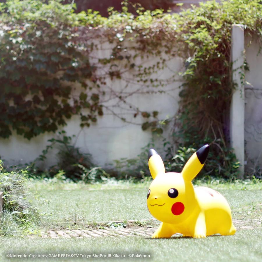 公認店】【ポケモンエアー正規品】お誕生日ギフト POKEMON AIR