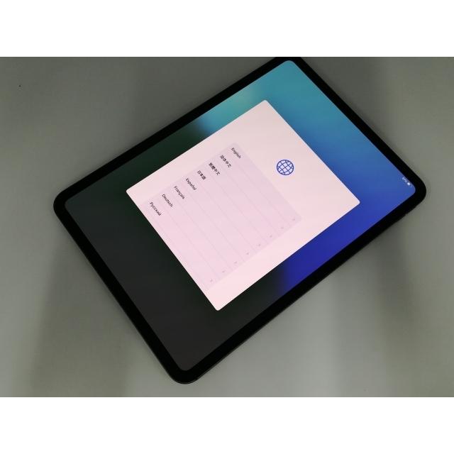中古】国内版 【SIMフリー】 iPad Pro 11インチ（第5世代/M4/2024
