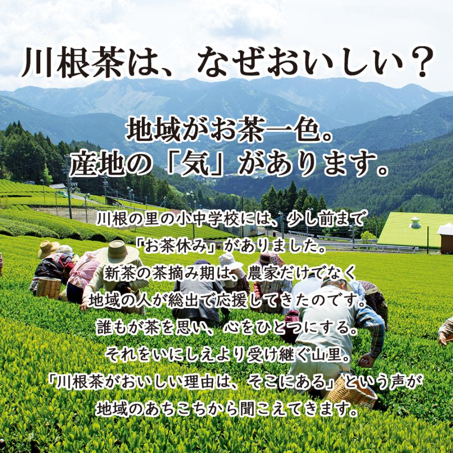 送料無料！川根茶1番茶使用】地元農協が仕上げた川根産家庭用飲み茶