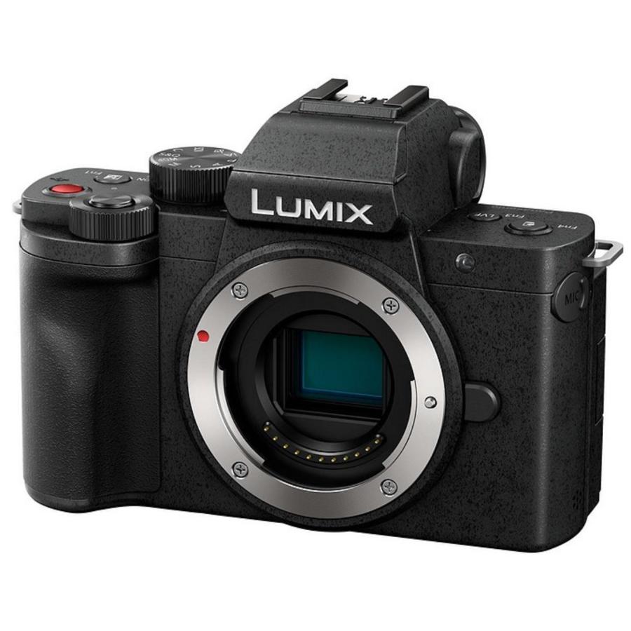 LUMIX Panasonic パナソニック ミラーレス一眼カメラ DC-G100D ボディ