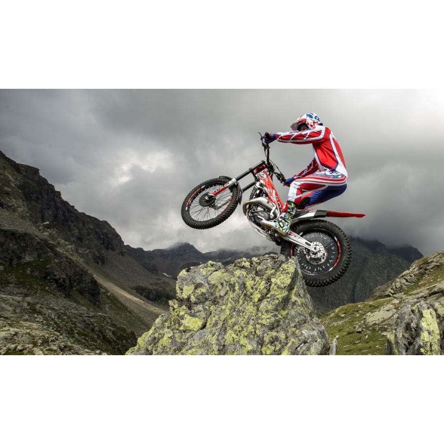 GAERNE（ガエルネ） 【正規総代理店】ガエルネ バランス クラシック