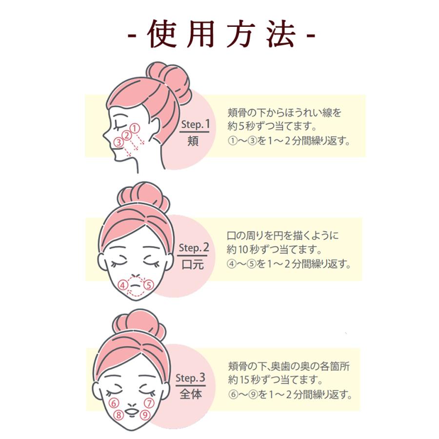 Dr.μ（ドクターミューズ）口腔内美容機器（収納ケース付） : ミネラル