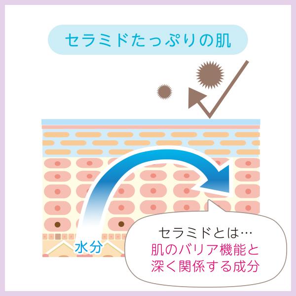 肌荒れ】セラミド美容液 Culubell(クリューベル)エッセンスSXプラス