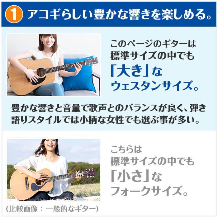 YAMAHA（ヤマハ） アコースティックギター 初心者セット YAMAHA FG850