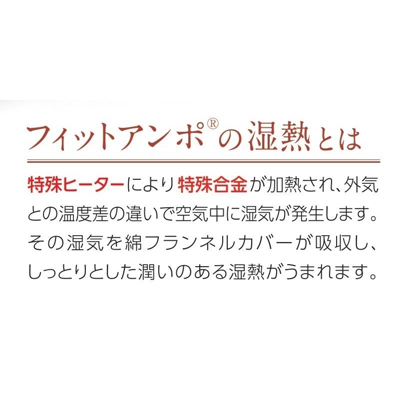 フィットアンポFA-2 タイマーなし 丸央産業 遠赤放射 セラミック